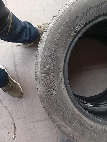 terrain: Шины 225 / 65 / R 17, Лето, Б/у, Комплект, Внедорожные (АТ/МТ), Япония, BLACK LION — 9