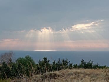 дом арча бешик аренда: Айыл чарба үчүн — 14