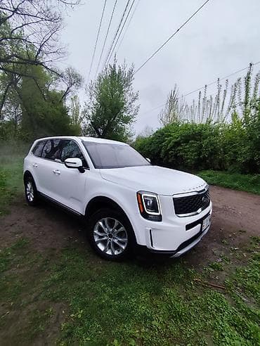 гранта зеркала: Kia Telluride: 2021 г., 3.8 л, Автомат, Бензин, Кроссовер — 8
