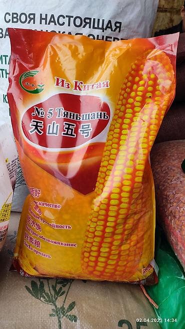 Китайский жугору уруктар:
🐼 Панда 958✅
🐸 Лягушка 958✅
Тянь-шань 5.✅ at lalafo.kg Китайский жугору уруктар:
🐼 Панда 958✅
🐸 Лягушка 958✅
Тянь-шань 5.✅