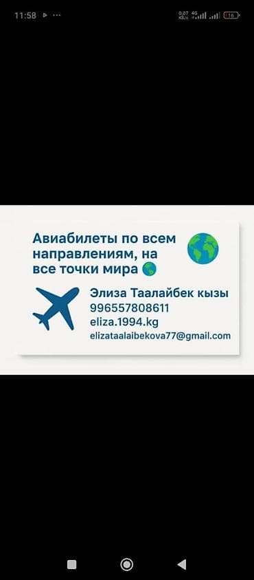ловушка комаров: Авиабилеты по всем направлениям Онлайн-агентство путешествий — 6