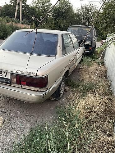 Транспорт: Toyota Camry: 1989 г., Бензин, Седан — 8