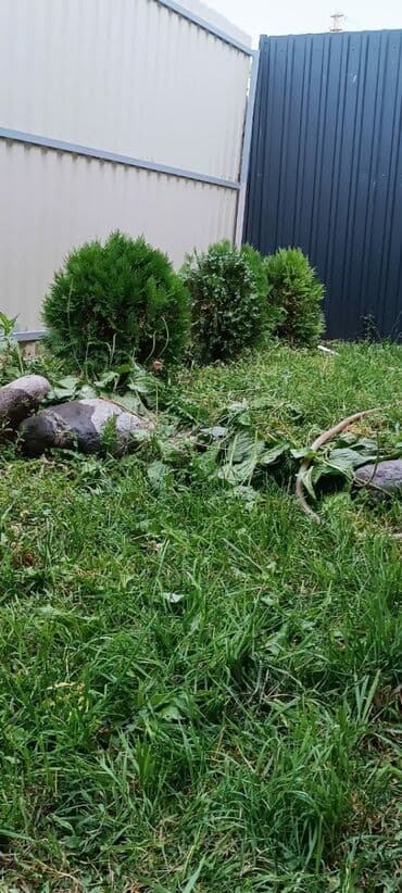 дом с бассейном и сауной: Дом, 100 м², 4 комнаты, Собственник, Евроремонт — 12