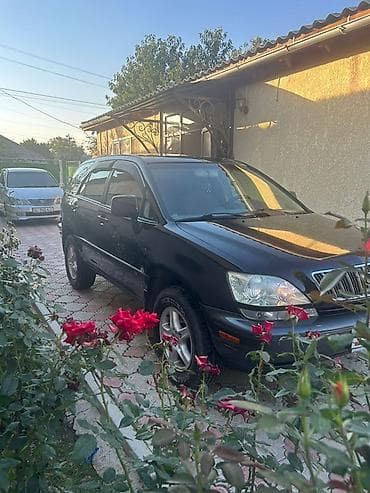 Lexus: Lexus RX: 2001 г., Кроссовер — 3