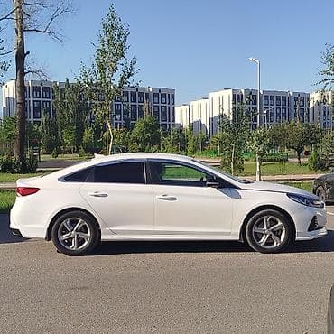 шторка соната: Hyundai Sonata: 2019 г., 2 л, Автомат, Газ, Седан — 5