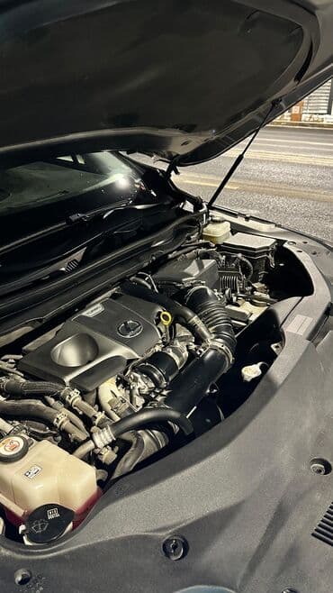 новые шины бишкек: Lexus RX: 2021 г., 3.5 л, Автомат, Бензин, Кроссовер — 4