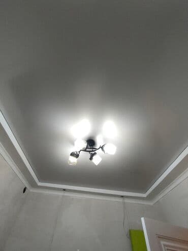 фикус большой: Натяжной потолок Глянцевое, Матовое, 3D потолки Гарантия, Бесплатная консультация, Бесплатный замер — 12