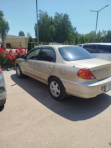 Kia Spectra: 2010 г., Механика, Бензин, Седан