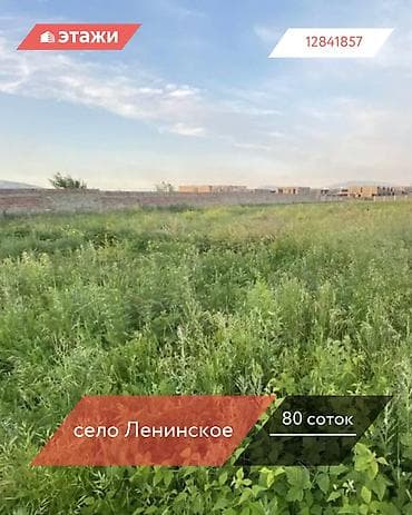 проспект ленина: 80 соток — 1