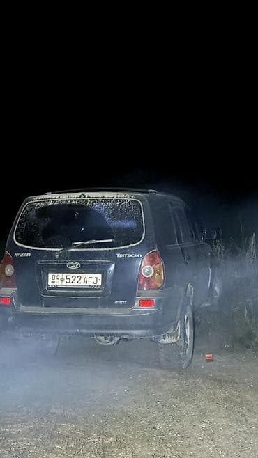 Продажа авто: Hyundai Terracan: 2004 г., 2.9 л, Автомат, Дизель, Внедорожник — 3