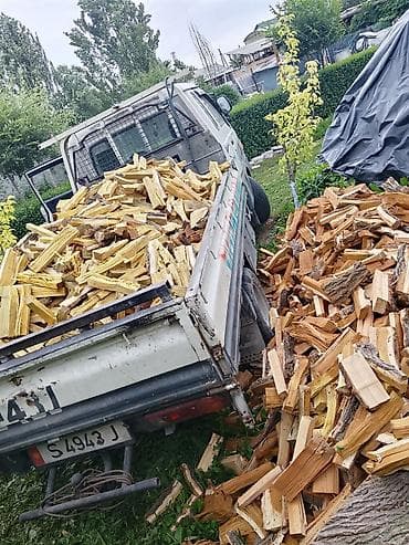 баня деревяный: Дрова Фруктовая древесина, Бесплатная доставка — 1