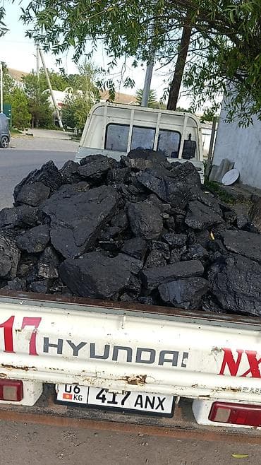 купить бычка: Эң жакшы таза комурлор бар маркай комуурлору гарантия кепилдик бар — 1