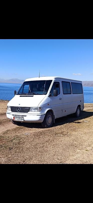 vip bus: Mercedes-Benz Спринтер: 1996 г., 2.9 л, Дизель — 3
