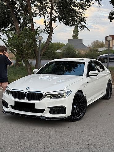 муравей донголок: BMW 5 series: 2020 г., 2 л, Автомат, Гибрид, Седан — 1