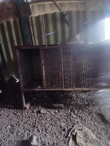 сөөл жан: Продам кролятник .сделанный из трубы и высечки. сделан копииально — 3