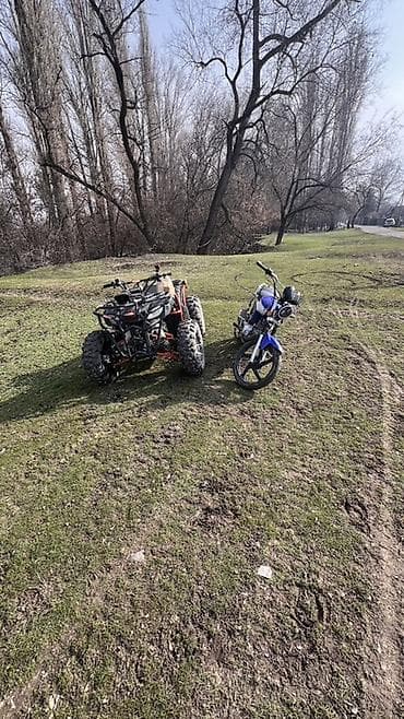 скуто: Квадроцикл Бензин, 180 куб. см, Взрослый — 2