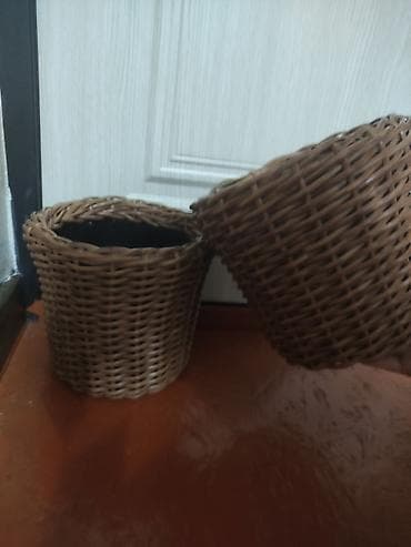 птица домашняя: Корзина — 1