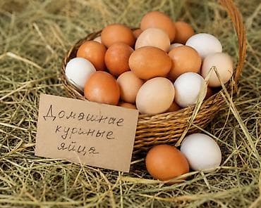 домашние выпечки: Домашние куриные яйца - Натуральные деревенские яйца: белые и — 1