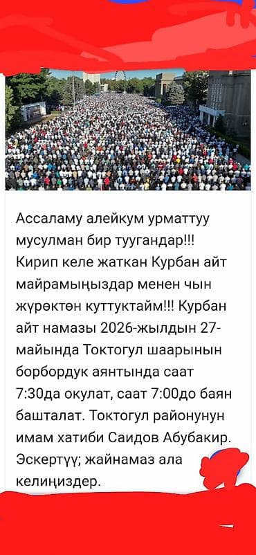 тез арада: Сатам | Козу — 2