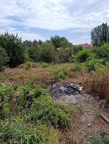 3: Продаю!!! Участок с домом+бизнес(парикмахерская) 📍В центре Маевки — 8