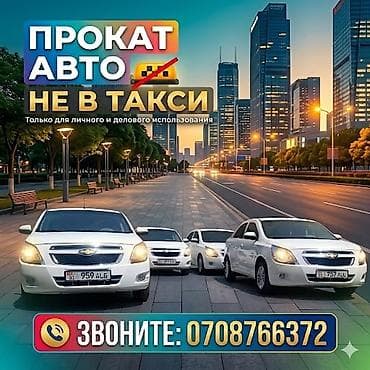 android 2din: Аренда автомобилей Chevrolet Cobalt (белые седаны). - Просторный — 1