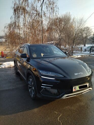 приборка: BYD Song Plus: 2024 г., Электромобиль, Кроссовер — 1