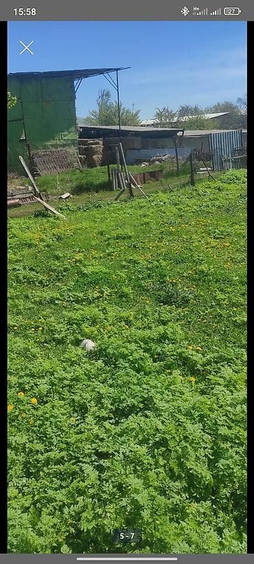 купить дом дачи дружба: Продаю дом с участком 20соток, поделён на 2 участка пополам по 10 — 8