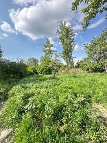 ишу земельный дом кок жар: 31 соток, Для строительства, Красная книга — 1
