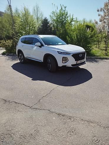 2019: Hyundai Santa Fe: 2019 г., 2 л, Автомат, Дизель, Кроссовер — 1