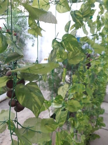 дом на иссык куле купить: 15 кв. м, Эмереги менен — 23