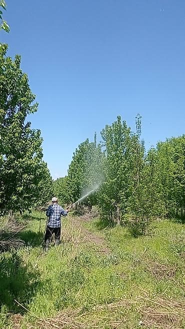 химчистка на дому: Дезинфекция, дезинсекция — 8