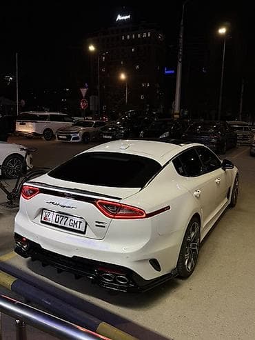 подсветки для машины: Kia Stinger: 2017 г., 3.3 л, Автомат, Бензин, Лифтбек — 8
