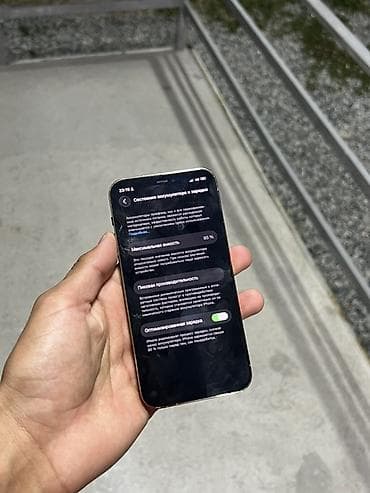 apple iphone 12 mini: IPhone 12 Pro, Серебристый — 5