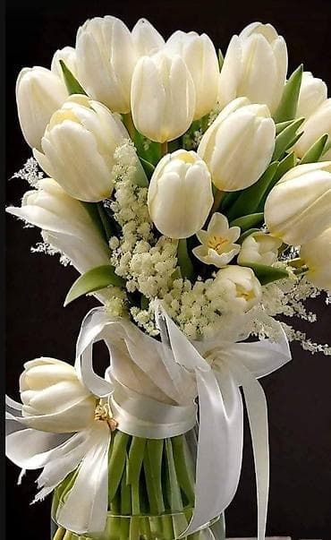 work emotion: Юридические услуги, консультации по трудовому законодательству — 1