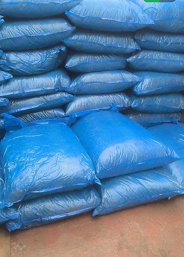 пиявка бишкек: Силос — 2