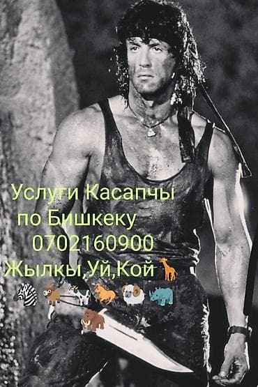 Другие специальности