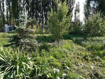 продаю дом в рассрочку бишкек: Дом, 100 м², 4 комнаты, Собственник, Косметический ремонт — 6