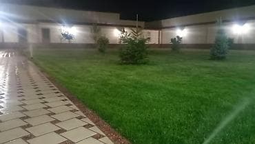 гидропоника купить: Газон Джалал абад бойунча ватсаптан жазгыла +996774079961 — 1