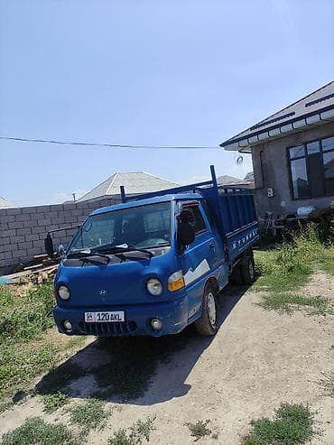 трубина портер: Легкий грузовик, Hyundai, Б/у — 3