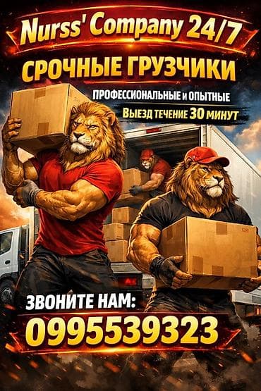 требуется управляющая: Грузчик. Больше 6 лет опыта — 1