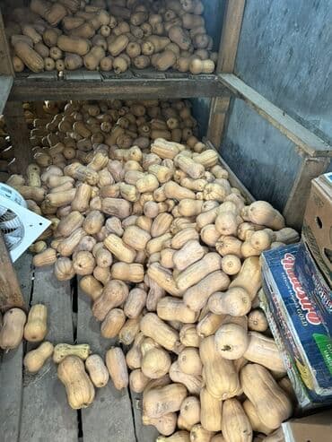 На корм скотам Тыква пищевых сортов — оптом - Разновидности