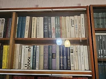 биог: Книжный шкаф, Дерево — 8