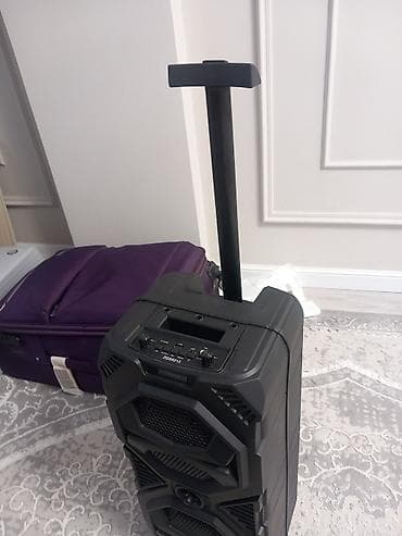 psp 2013: - Форм‑фактор: напольная колонка-тележка с выдвижной ручкой и — 2