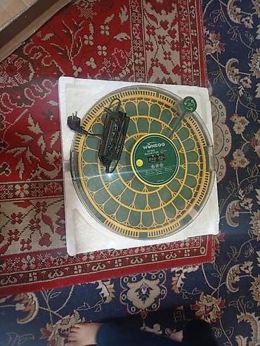 Өндүрүш үчүн жабдуулар: Инкубатор для яиц Wonegg, модель на 52 яйца - Вместимость: до 52 — 4