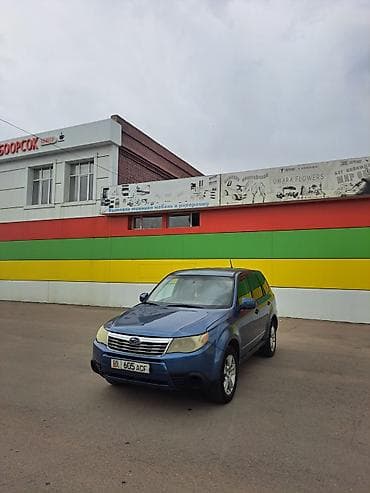 i bus: Subaru Forester: 2009 г., 2.5 л, Автомат, Бензин, Кроссовер — 2