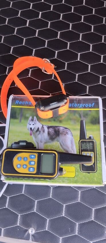 сколько стоит вольер для собак: Ошейник электрический для дрессировки собак.Имеется — 1