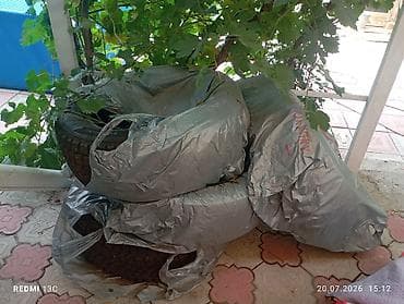 Шиналар жана дисктер: Зимняя шина 235/60 R18 107T XL - Тип: зимняя (символ снежинки на — 2