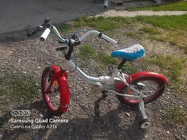 детские обуви в бишкеке: Детский велосипед, 2-колесный, 4 - 6 лет, Для девочки, Б/у — 1