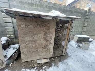 клетка для несушек купить: Ушул көчмө клетка сатылат 3000 сом — 2