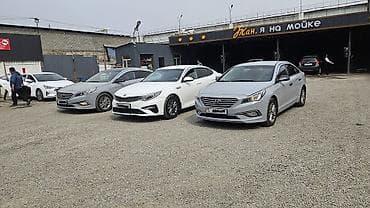 коробка бмв е34: Прокат бизнес‑седанов Автомобили: - Kia Optima (белый) — современный — 5